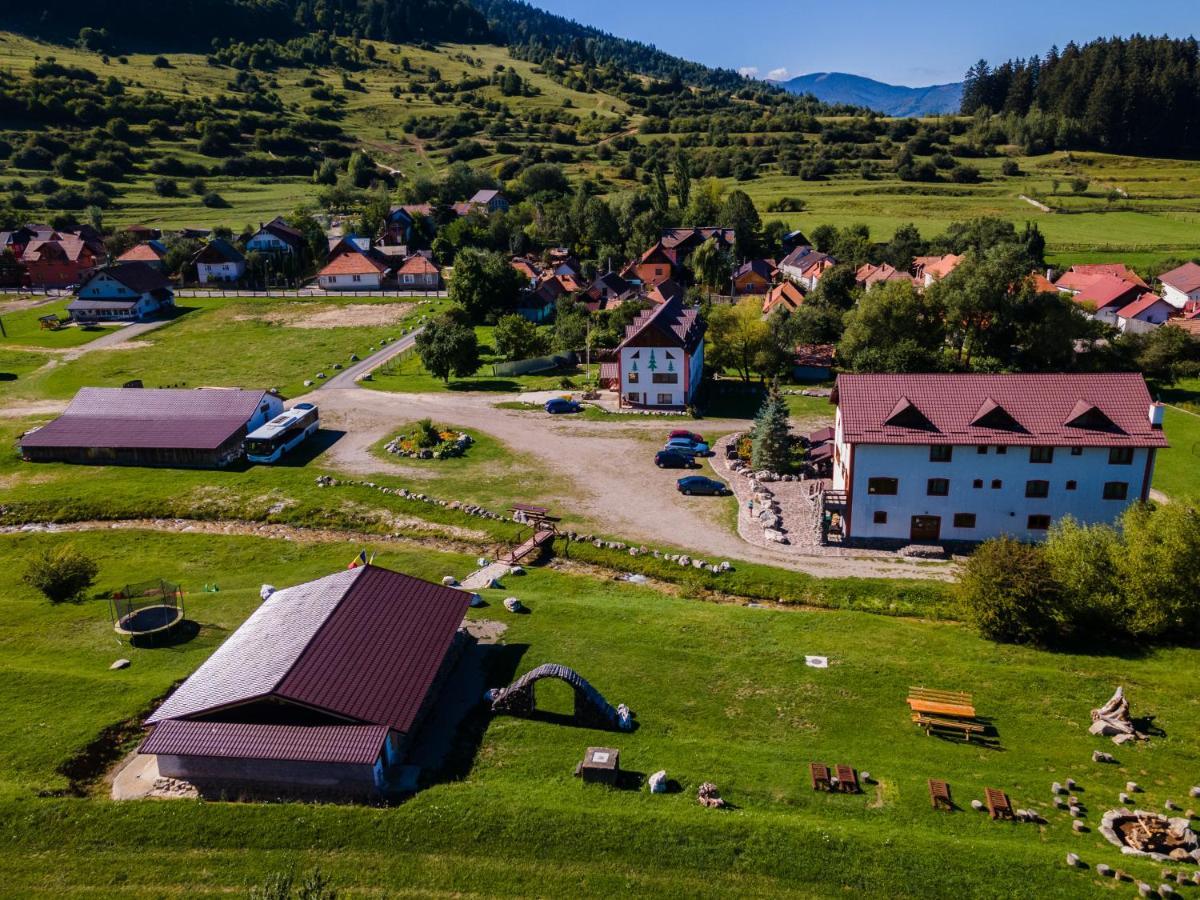 Pensiunea 3 Brazi Zărneşti Eksteriør bilde