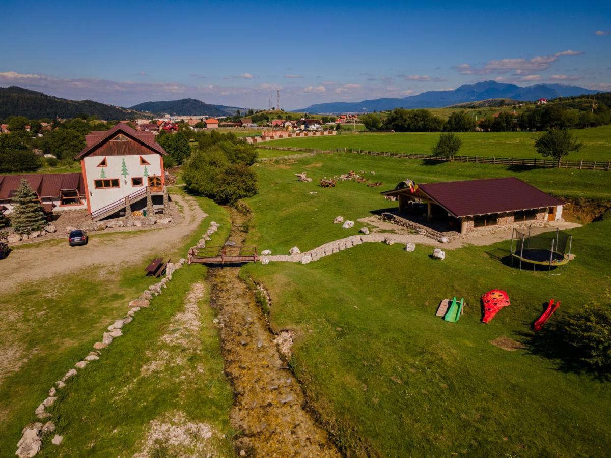 Pensiunea 3 Brazi Zărneşti Eksteriør bilde