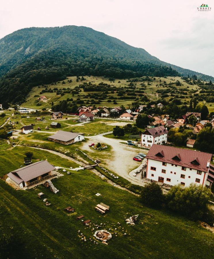Pensiunea 3 Brazi Zărneşti Eksteriør bilde
