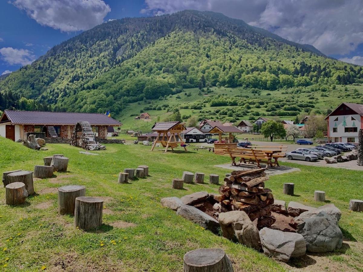 Pensiunea 3 Brazi Zărneşti Eksteriør bilde