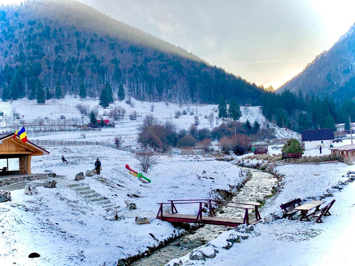 Pensiunea 3 Brazi Zărneşti Eksteriør bilde